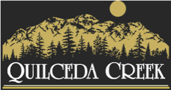 (image for) Quilceda Creek Cabernet Sauvignon 2018 (WA 99) [WAS: $290++]